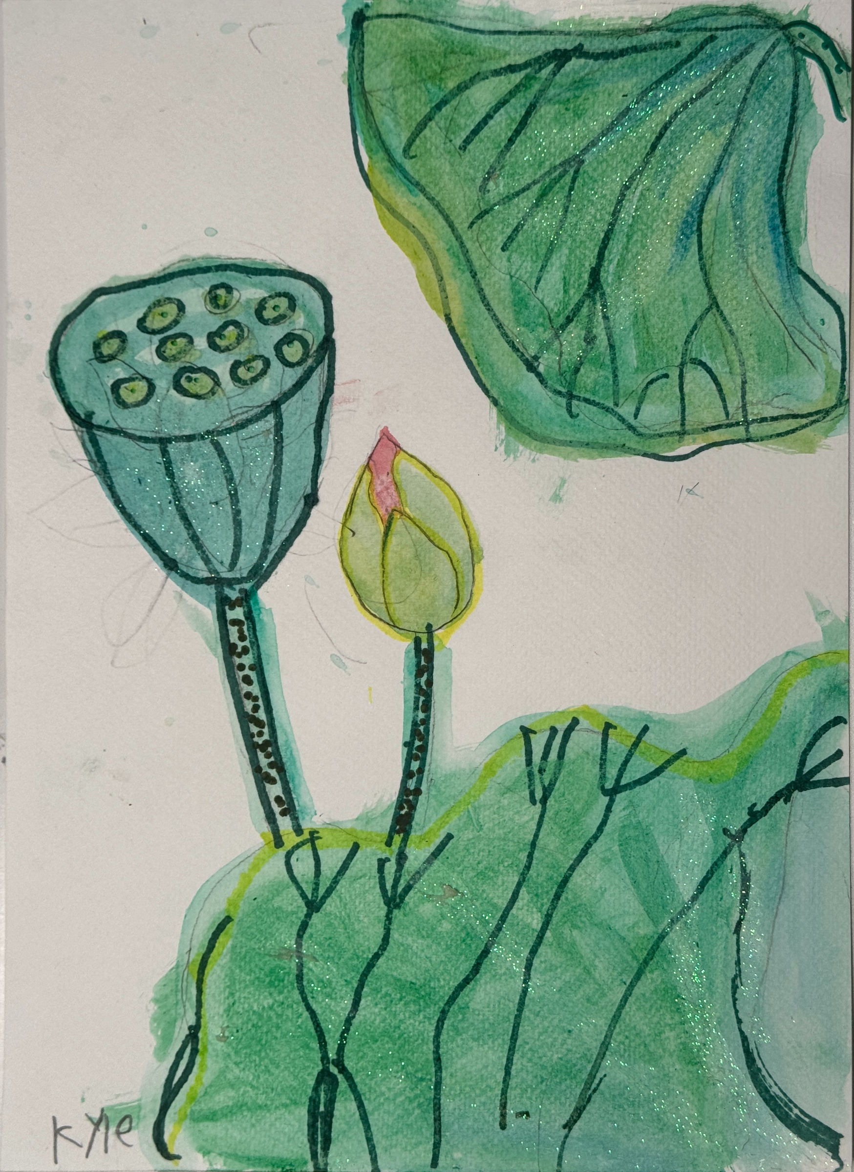 Lotus